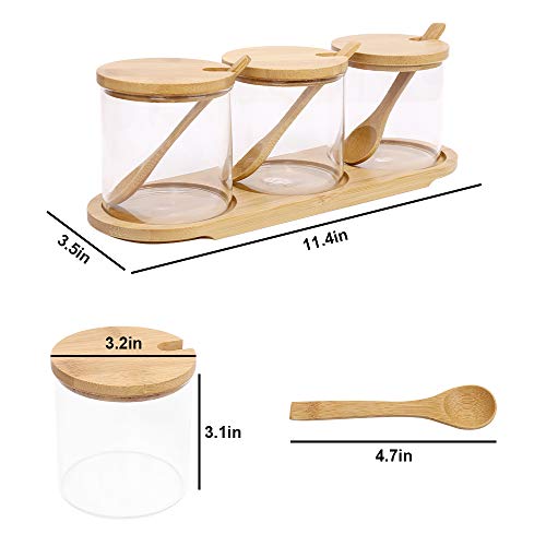 Glass Condiments Containers Seasoning Jars SetKISSTAKER 3 Pack 10 OZ