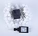 [Remote & Timer] 33Ft Globe String Lights 100LED Fairy Twinkle Lights with Remote 8 Modes Controller & UL Listed Adaptor Plug-for Patio/Party/Garden/Wedding Decor, Pure White
