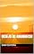 Livro Desejo Ao Amanhecer