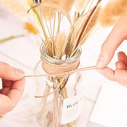 Natural Jute Twine, 328 Feet Twine String for DIY