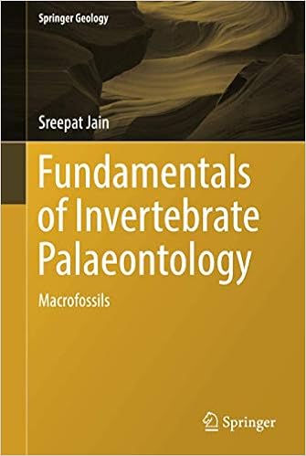 Fundamentals Of Invertebrate Palaeontology Springer Geology Jain 9788132236566 Amazon Com Books