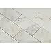 Calacatta Gold (Italian Calcutta) Marble 2 X 4 Brick Mosaic Tile, Honed