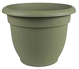 Bloem 20-56416 Planter, 16 Inch, Living Green