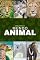 Livro Biblioteca Mundo Animal - Box com 3 Livros