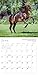 The Spirited Horse 2017 Wall Calendar