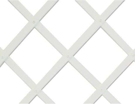 INTERMAS - Celosia Extensible Blanca Intermas 0,5X1,5 M: Amazon.es ...