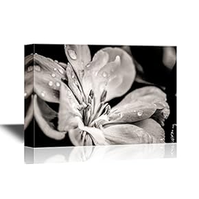 Floral Canvas Wall Art - Flower with Raindrops - Gallery Wrap Modern Home Art | Ready to Hang - 12x18 inches