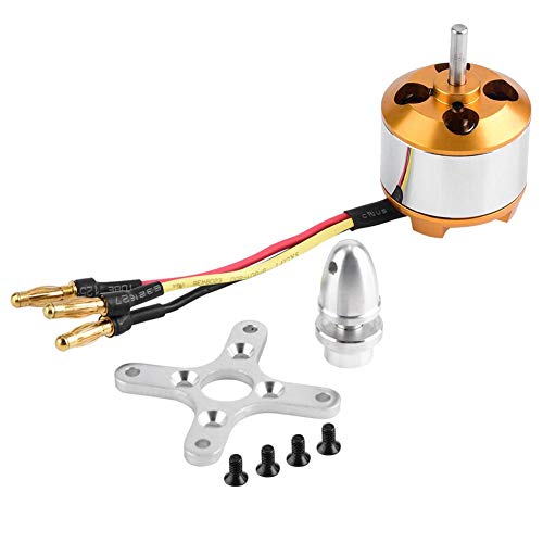 Dilwe RC-Motor, Motor-2814 1000 / 1400KV 2kg Schub 3-4S Motor für Starrflügel-RC-Flugzeug( 1000 kV)
