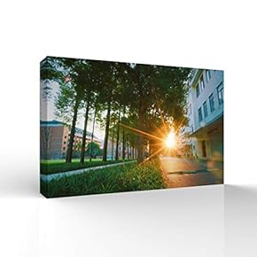 SIGNFORD Canvas Wall Art for Living Room,Bedroom Home...