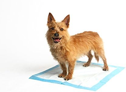 cesar millan training pads