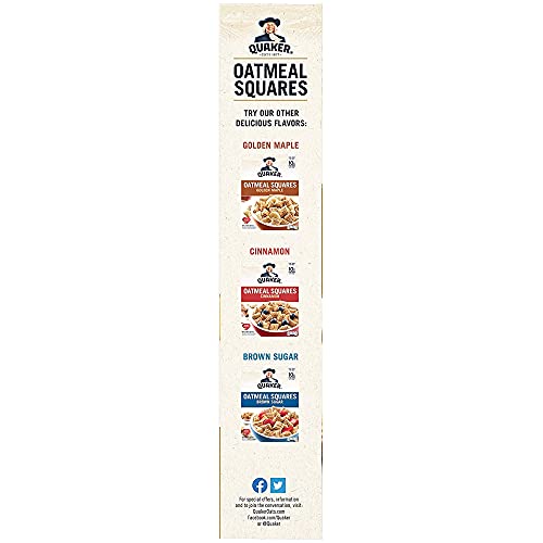 Quaker, Oatmeal Squares, Honey Nut, 14.5 Oz Pricepulse