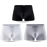 JESIFOF Men's Sheer Underwear Traceless Ice Silk Boxer Ultra-thin Sexy Briefs 3 Pack