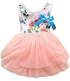 Kids Girls Princess Rose Garden Flower Petal Lace Ruffled Tulle Skirts Dresses