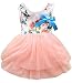 Kids Girls Princess Rose Garden Flower Petal Lace Ruffled Tulle Skirts Dresses