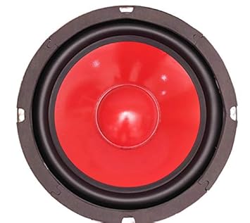 bass speaker subwoofer 100w