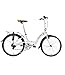 Briza D8 24″ Folding Bicycle- Frost Whitethumb 1