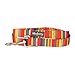 Blueberry Pet Essentials Durable Nautical Flags Inspired Designer Dog Leash 5 ft x 3/4