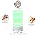 Essential Oil Diffuser, Oak Leaf Aromatherapy Diffuser 7 Color Changing LED Lights, Waterless Auto Shut-off, 100ml