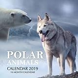 Polar Animals Calendar 2019: 16 Month Calendar by