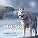 Polar Animals Calendar 2019: 16 Month Calendar by
