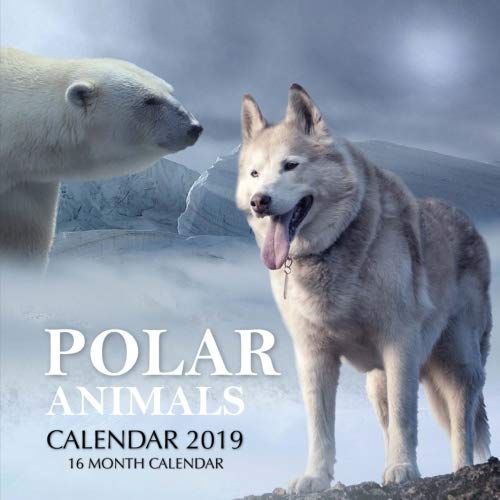 Polar Animals Calendar 2019: 16 Month Calendar by Mason Landon