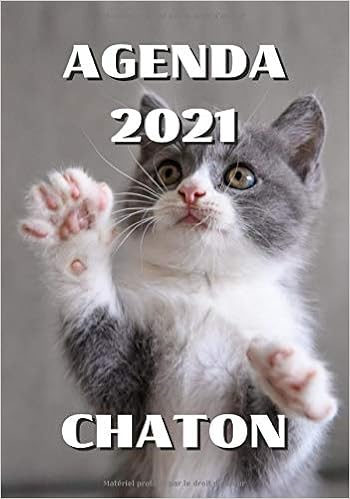 Agenda 21 Chaton Agenda Chaton Semainier 21 Annuel 12 Mois Janvier A Decembre 21 Planificateur Semainier 21 114 Pages 17 8 X 25 4 Cm Chaton Fond Gris Chat Agenda Amazon Es Libros