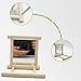 Blessed family Birds Toy for Cage,Parrot Hanging Swing with Mirror,Natural Wooden Play Toys, Pet Bird Cage Accessories with Metal Hook