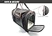 Bennies World Airline Approved Soft Sided Pet Carrier Travel Bag - Small Dogs and Cats - Fits under Seat