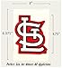 5 Pack St Louis Cardinals Vinyl Decal Sticker Set | Waterproof & UV Resistant Ideal for Cars | Decorate Baseball Gear Team Helmet Cornhole Hard Hat Lunchbox Phone Case Laptop Wall Mug Cup Gift Box