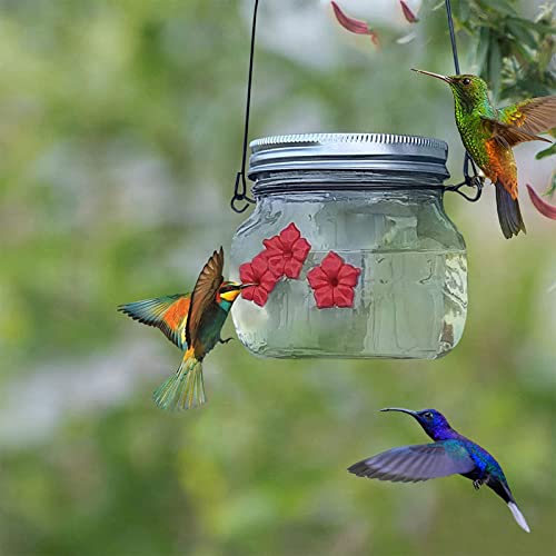 Mason Jar Hummingbird Feeder, 2022 Upgrade Hummingbird Feeders for Outdoors Hanging, 16 Oz