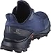 Salomon Men's Alphacross Trail Running Shoes