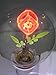 Artful NEON LIGHT BULB E26/E27 110/220V NIXIE Filament Lamp Tube "Rose" (as old Aerolux)