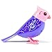 Digi Birds Single Pack Doll, Melody