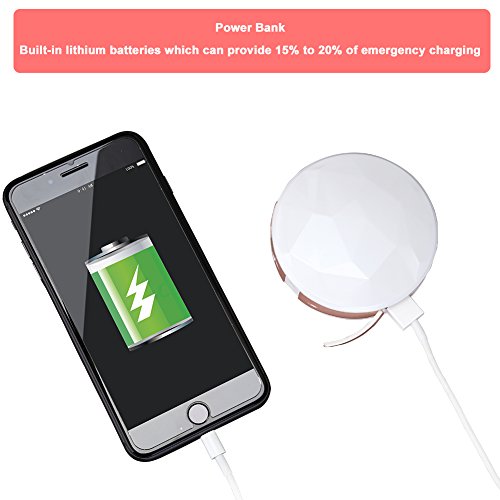 LOETAD Makeup Mirror Nano Ionic Cool Mist Face Hydration Sprayer Portable Makeup Mirror Travel Cosmetic Mirror (Rose Gold)