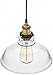 Farmhouse Clear Glass Shade Ceiling Pendant Lighting, Kitchen Chandelier Style with Brass Fixture by Deneve