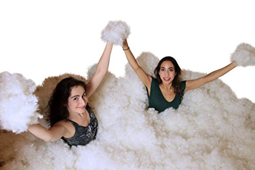Big Plush 10 Pounds Premium Polyester Fiber White Fiberfill Stuffing, MODERATELY DENSE and Heavy Blend