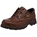 Irish Setter Men's 3874 Soft Paw Waterproof Oxford Casual Shoe