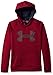 Under Armour Boys' Armour Fleece Big Logo Hoodie