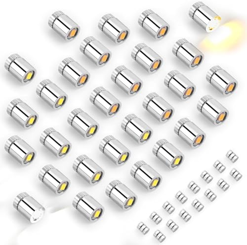 30pcs Miniature LED Lights, Warm White & Cool White Mini Electric Micro Tiny Small Lights Battery Operated with 15pcs Batteries for Crafts Dolls House Paper Lantern Decoration Dollhouse Accessories