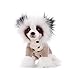 Chinese Crested Dog Spotted Bright White Children's Plush Stuffed Animal Toy