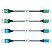 AILKIN USB Cord, Android Phone Charger 4pack [2x6ft, 2x10ft] Android Charger Fast Charging Compatible with Samsung Galaxy S21, Lg G8x G8, HTC and Most Android Tablets