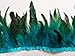 wanjin Rooster Hackle Feather Fringe Trim Craft Feather 5-7 inch Width Pack of 2 Yards (Turquoise)