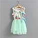 Niyage Little Girls Sleeveless Floral Princess Dress Tulle Tutu Sundress 5 Green