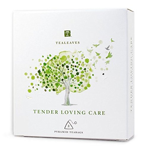 Get Well Gifts Basket Box - Includes Luxury Blanket Organic Tea Soup and Book | Get Well Gift Baskets for Women Men Teens Friends | Get Well Care Package Presented in Beautiful Gift Box with Ribbon