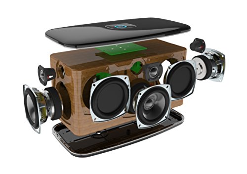 RIVA-RWF01B-Festival-Wireless-Multi-Room-Speaker-Black