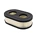 HOOAI 593260 798452 Air Filter - Air Filter Cartridge for Briggs & Stratton Cartridge (2)