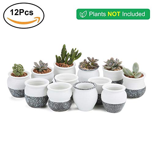 T4U 2.5 Inch Small Ceramic Succulent Planter Pots with