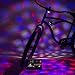 Activ Life Disco Party Bike Lights Birthday Presents primary
