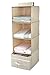 iwill CREATE PRO Collapsible Hanging Clothes Storage Shelves, Hanging Shoe Storage Bag for Closet, 4 Shelf, Separate Folding Drawer, Beige