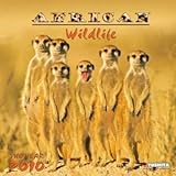 African Wildlife 2010 Wall Calendar by 